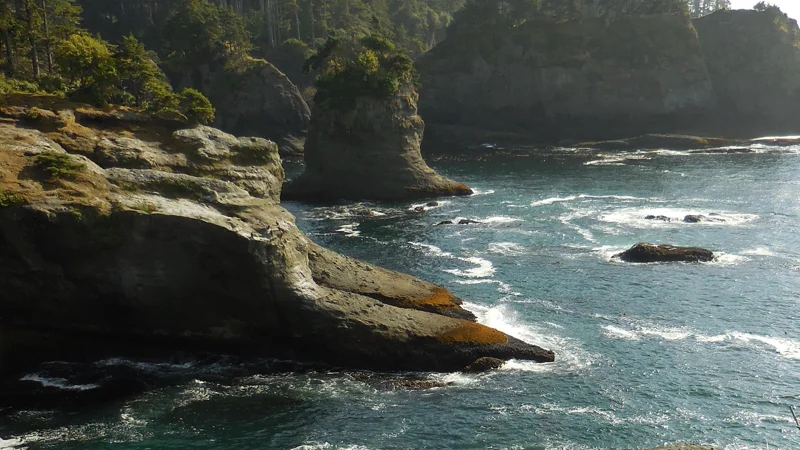 Forested cliffs and Pacific water at Cape Flattery