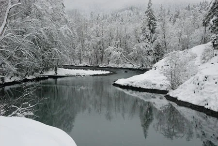 Snow beside the Elwha River